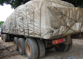 Customs intercepts truck with smuggled grains