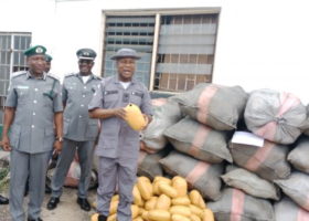 Customs seize 828 bags of foreign rice, others in Benin, Lagos