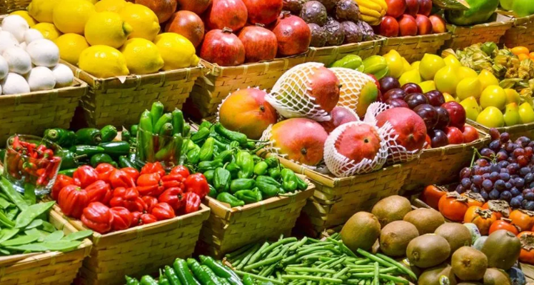 Global food import to hit record high of $1.8trn in 2022
