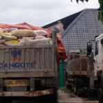 Customs impounds Dangote trucks used for smuggling