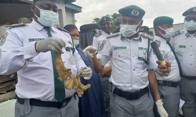 Customs seizes 7,000 pieces of donkey genitals at Lagos airport 
