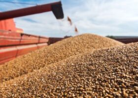 Hunger looms as Russia backs out of grain deal with Ukraine