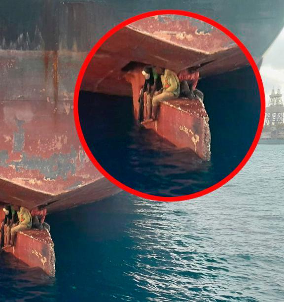 Nigerian stowaways found hiding on ship's rudder after 11-day voyage 
