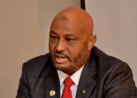 SON returns to seaports, gets approval to participate in cargo examination 