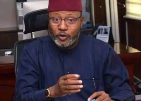 Processed wood exporters seek share of $152.94bn market as FG lifts ban