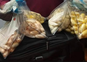 Nigeria dominates African cocaine smuggling routes — Report