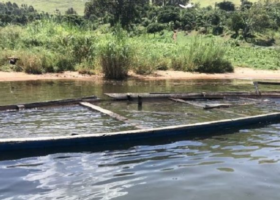 Six dead, 64 missing after boat sinks in Congo's Lake Kivu
