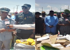 Customs intercepts fake drugs at Seme