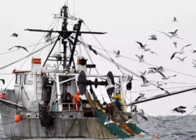 Chinese fishing boat capsizes in Indian Ocean, 39 crew members missing
