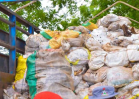 Kebbi Customs command seizes 414 sacks of donkey skin