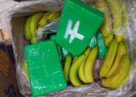 Greek Police Find 3.2 Mln Euros Of Cocaine In Banana Containers 