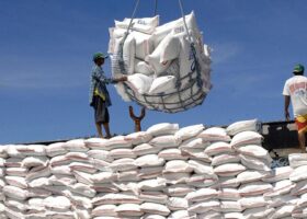 Spain impounds 9.5 tonnes of cocaine hidden in banana shipment