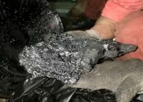 Bad bunker fuel causes damage to 14 vessels
