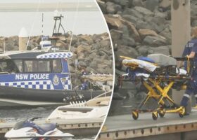 Man dies after whale collides with boat