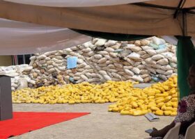 Customs hands over seized cannabis, tramadol to NDLEA