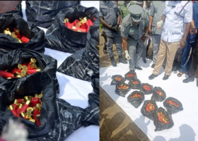 Customs intercepts 975 cartridges in Ogun
