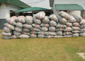 Customs Western Marine Command seizes over 4,000 parcels of Cannabis Sativa