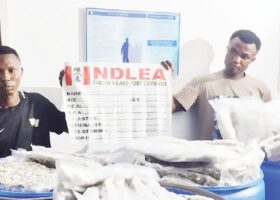 NDLEA intercepts 876.453kg of illicit drugs, others at Tin Can port