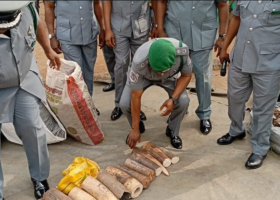 Customs arrests 3 for wildlife trafficking