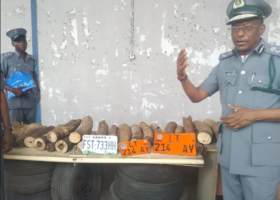 Customs intercept elephant tusks worth N300m
