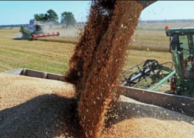 Russia sends free grain to Mali, Burkina Faso, 4 other African countries