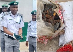MMIA Customs intercepts sea cucumbers, donkey genitals, generates N45.2bn