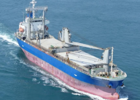 Australia court fines ship captain, owner for pilot’s injuries