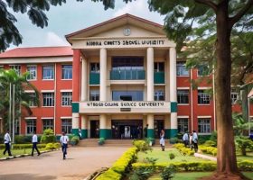 Nigeria Customs Service Launches Own University
