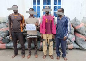 Nigerian Navy Seizes 2,880kg of Cannabis, Arrests Four Suspects
