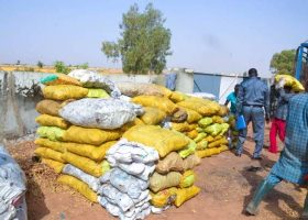 Nigeria Customs Service Destroys 1,015 Sacks of Donkey Meat, Skin in Edo