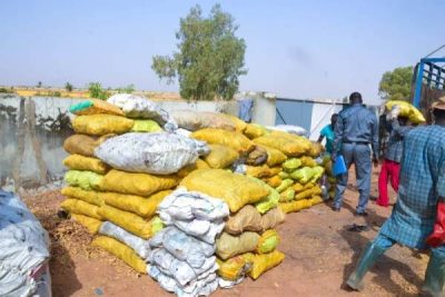 Nigeria Customs Service Destroys 1,015 Sacks of Donkey Meat, Skin in Edo