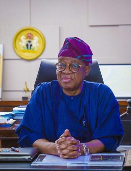 Minister of Marine and Blue Economy, Gboyega Oyetola