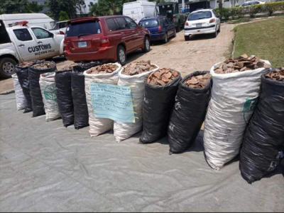 Nigeria Customs Service, WJC Seize 2,179kg of Pangolin Scales in Major Wildlife Trafficking Crackdown