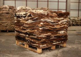 Hides and Skins: Challenges of Smuggling and the Path Forward