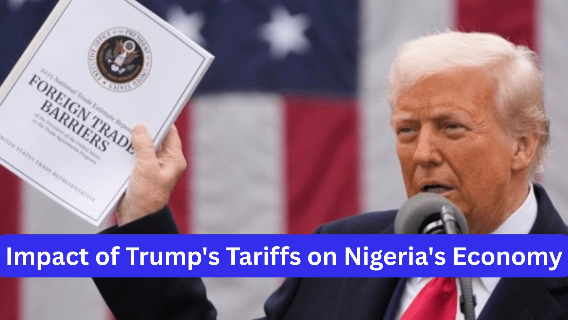 Impact of Trump's Tariffs on Nigeria's Economy