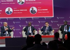 APM Terminals, Public-Private Partnerships , Africa, Sustainable Growth,  APM Terminals Exec
