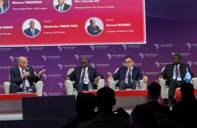 APM Terminals, Public-Private Partnerships , Africa, Sustainable Growth,  APM Terminals Exec