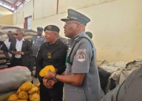 Customs Intercepts 481 Cannabis Sativa, Others Worth N352m Along Lagos Waterways