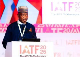 Customs Reforms Essential for Unlocking Africa’s Economic Potential — Adeniyi 