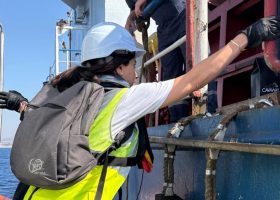 Syrian Crew Freed After Five Months Stranded on Abandoned Ship in Cyprus