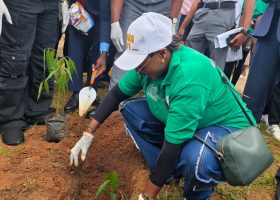 COWA Flags Off First Green Border Day at Seme, Announces COP 30 Side Event in Brazil