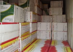 Customs Seize 248,500 Tramadol Tablets