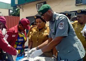 Customs, NDLEA Seize ₦16.6bn Cannabis