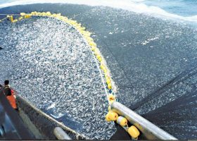 Greece Urges EU To Action Over Turkish Fishing
