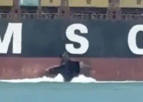 Mystery Strike Damages MSC Containership