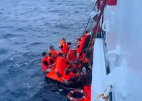 Vietnamese Cargo Ship Sinks