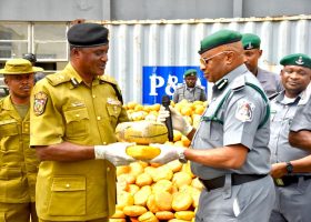 Customs Seizes N3.95bn Drugs