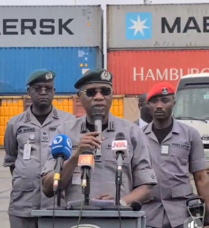 Customs Seizes Contraband in 56 Containers